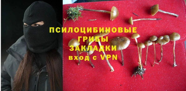 тгк Беломорск